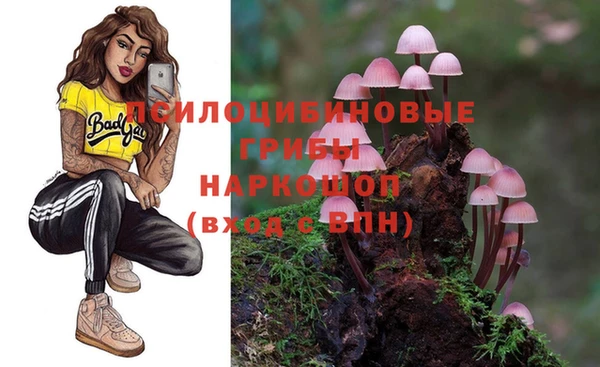 амф Алзамай