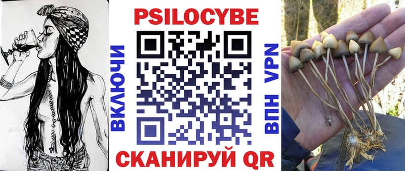 Галлюциногенные грибы Cubensis  Хасавюрт 